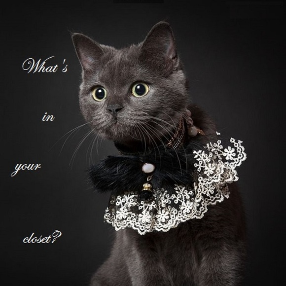 Meet your Posher, Max - Picture 6 of 6